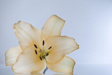 Similar image 7446556