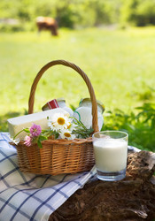 Similar image 7446635