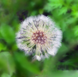 Similar image 7446728