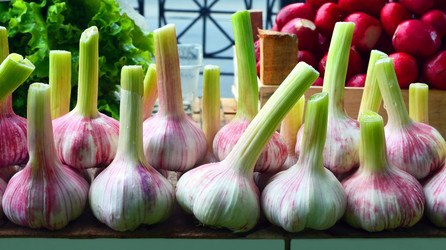 Similar image 7446729