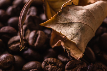 Similar image 7446750