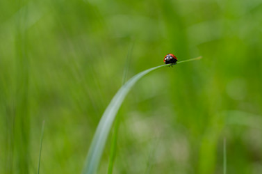 Similar image 7446936