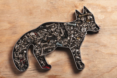 Similar image 7447016