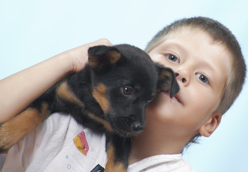 Similar image 7447386