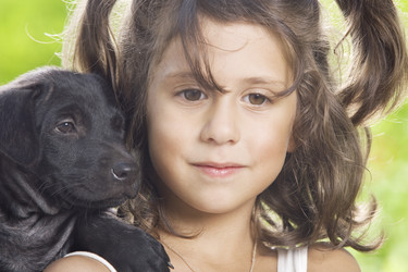 Similar image 7447506