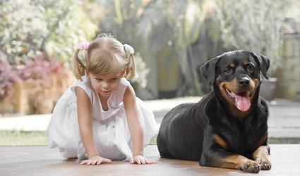 Similar image 7447551