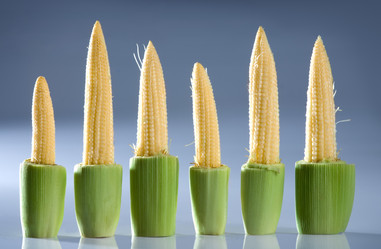 Similar image 7447587