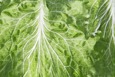 Similar image 7447626