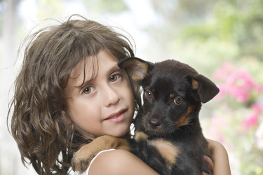 Similar image 7447640