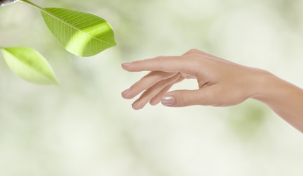 Similar image 7447648