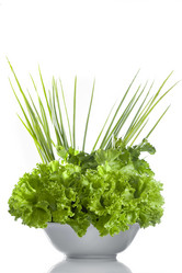 Similar image 7447660