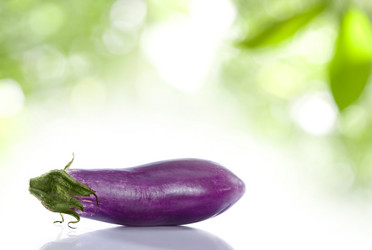 Similar image 7447663