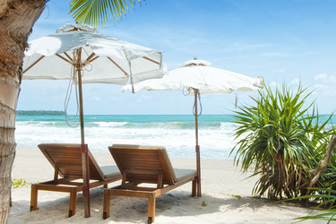 Similar image 7447795