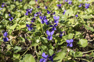 Similar image 7447846