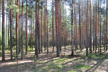 Similar image 7447858