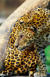 Similar image 7447864