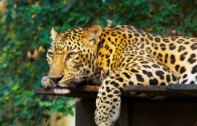 Similar image 7447866