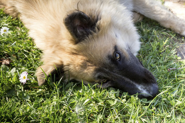 Similar image 7447880