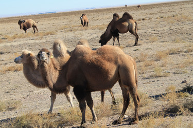 Similar image 7447884