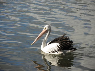 Similar image 7447887