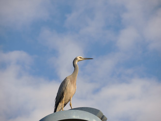 Similar image 7447888