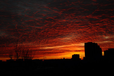 Similar image 7447940