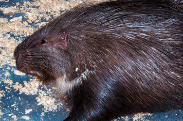 Similar image 7447953