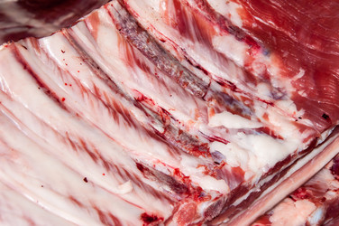 Similar image 7447957