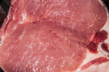 Similar image 7447962