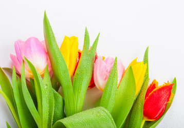 Similar image 7447973