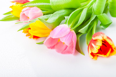 Similar image 7447974