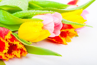 Similar image 7447976