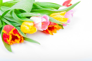 Similar image 7447977