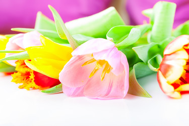 Similar image 7447979