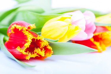 Similar image 7447981