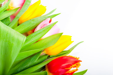 Similar image 7447982