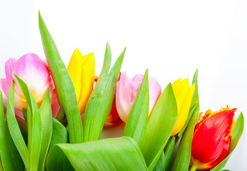 Similar image 7447984