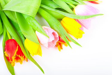 Similar image 7447986