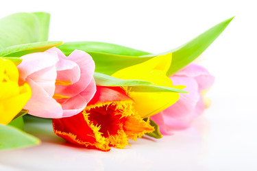 Similar image 7447991