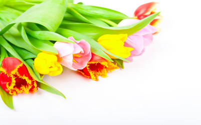 Similar image 7447993