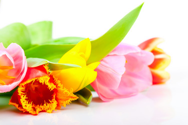 Similar image 7447995