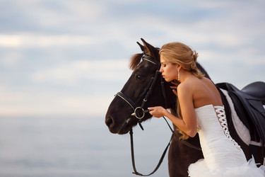 Similar image 7448002