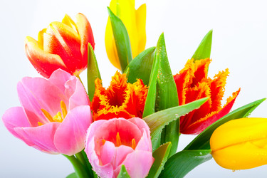 Similar image 7448009