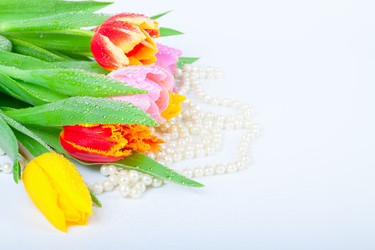 Similar image 7448010