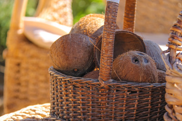 Similar image 7448014