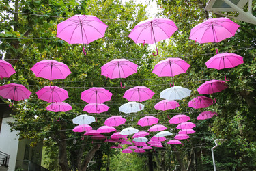 Similar image 7448027