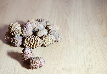 Similar image 7448103