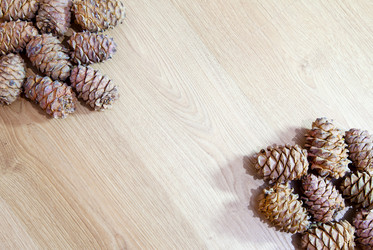 Similar image 7448107