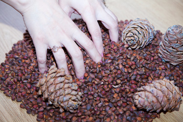 Similar image 7448147