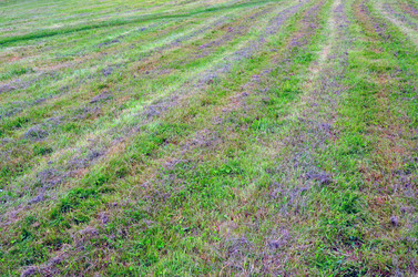 Similar image 7448305